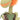 Jellycat Amuseable Carniflore Tammie | Stuffed Animal Plush Toy