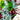 Vietri Contessa Water / Wine Glass - Emerald
