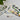 Needlepoint Kit - Heron