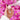 Sweet Grace Eau de Parfum