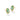 Kendra Scott Hallie Gold Convertible Drop Earrings - Mint Green Watercolor Illusion