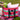 Scout Large Tote | Original Deano - Late Bloomer