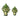 Artichoke Tulipiere - Green