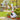 Giddy the Goose Outfit - Chef