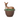 Juliska Forest Walk Bowl with Lid - Deer