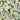 Oh My Mahjong - Palm Royale Mahjong Tiles