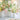 Vietri Hibiscus Bud Vase - White