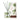 Thymes Frasier Fir Pine Needle Reed Diffuser