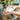 Body Wash Buffer - Coconut Verbena
