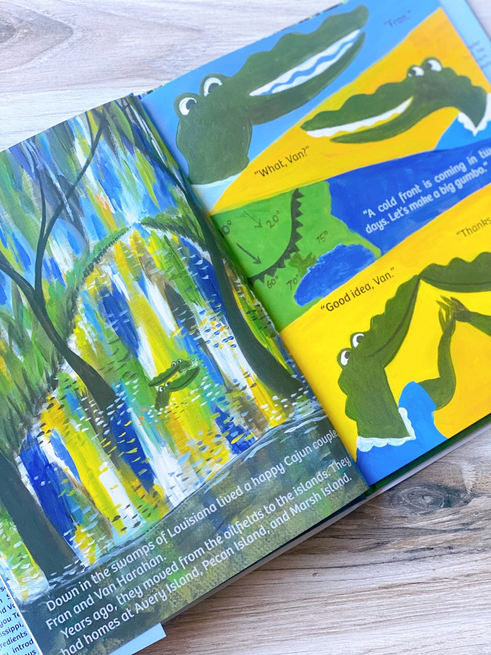 Book The Gumbo Gators Caroline Company book-the-gumbo-gators-caroline-company