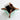 Jon Hart Catch All
