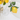 Vietri Small Oval Platter - Limoni