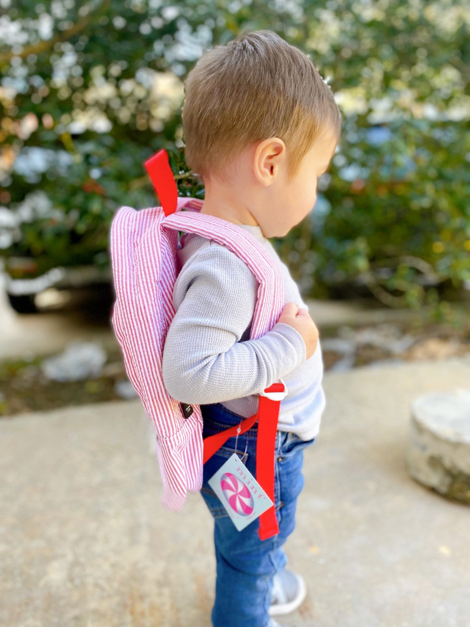 Small Backpack {Pink Seersucker}