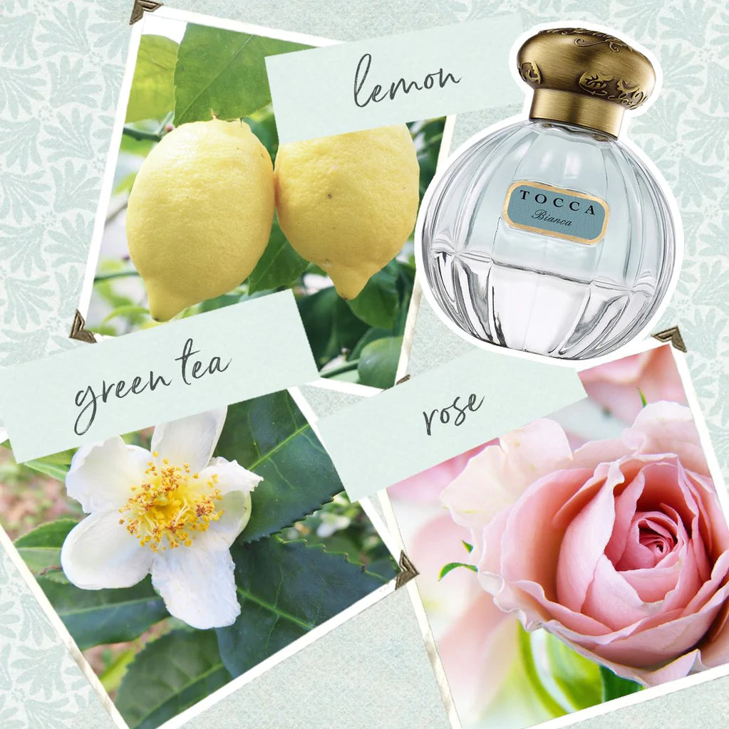 Tocca discount perfume bianca